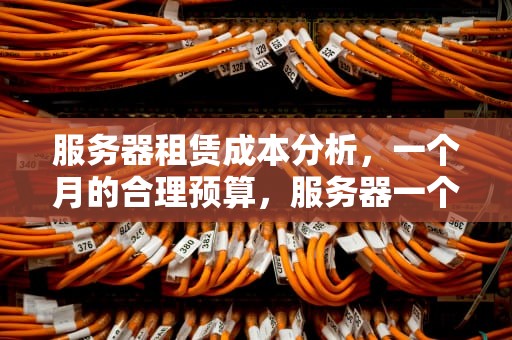服务器租赁成本分析，一个月的合理预算，服务器一个月大概多少钱正常啊