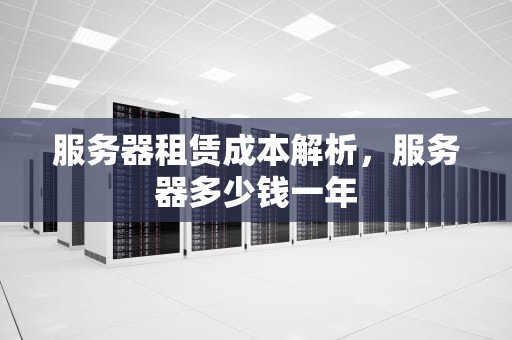 服务器租赁成本解析，服务器多少钱一年