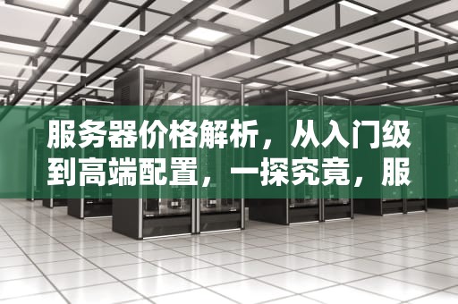 服务器价格解析，从入门级到高端配置，一探究竟，服务器多钱一个月