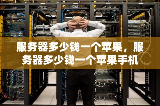 服务器多少钱一个苹果，服务器多少钱一个苹果手机