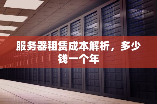 服务器租赁成本解析，多少钱一个年