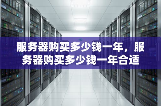 服务器购买多少钱一年，服务器购买多少钱一年合适