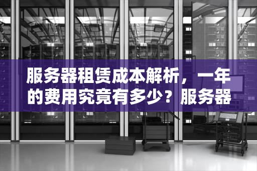 服务器租赁成本解析，一年的费用究竟有多少？服务器一般多少钱一年的
