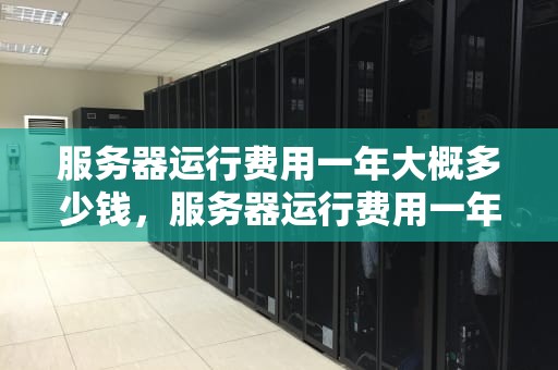 服务器运行费用一年大概多少钱，服务器运行费用一年大概多少钱啊
