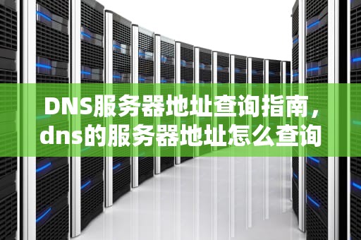 DNS服务器地址查询指南，dns的服务器地址怎么查询的