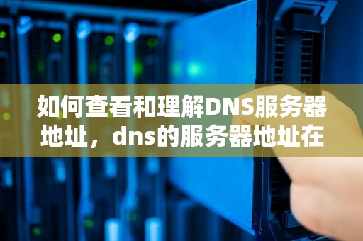 如何查看和理解DNS服务器地址，dns的服务器地址在哪里看到的