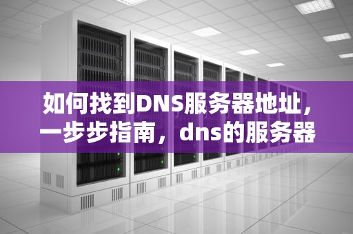 如何找到DNS服务器地址，一步步指南，dns的服务器地址在哪里看啊