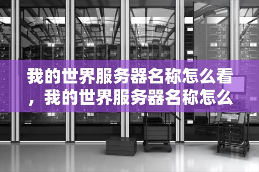 我的世界服务器名称怎么看，我的世界服务器名称怎么看不到