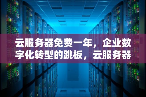 云服务器免费一年，企业数字化转型的跳板，云服务器免费一年下载