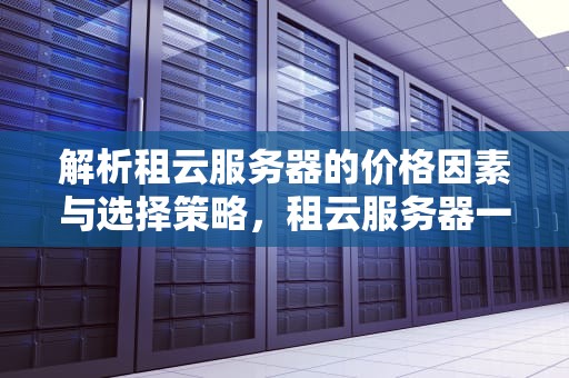 解析租云服务器的价格因素与选择策略，租云服务器一个月多少钱