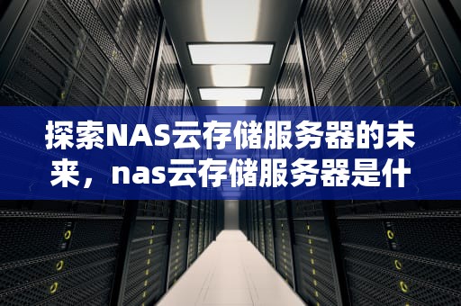 探索NAS云存储服务器的未来，nas云存储服务器是什么