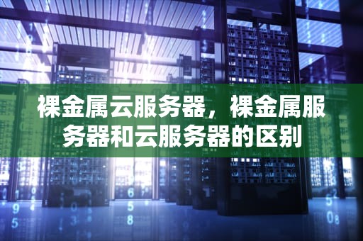 裸金属云服务器，裸金属服务器和云服务器的区别