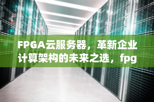 FPGA云服务器，革新企业计算架构的未来之选，fpga云服务器怎么使用