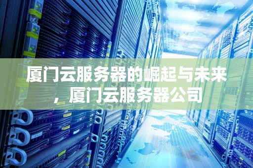 厦门云服务器的崛起与未来，厦门云服务器公司