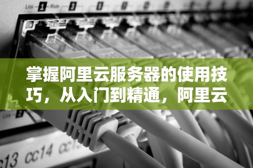 掌握阿里云服务器的使用技巧，从入门到精通，阿里云服务器如何使用教程