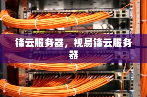 锋云服务器，视易锋云服务器