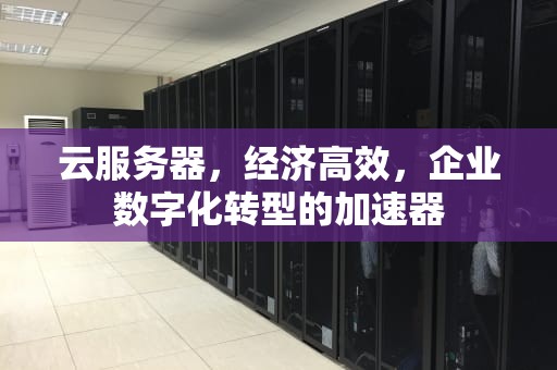 云服务器，经济高效，企业数字化转型的加速器