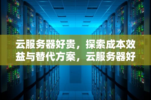 云服务器好贵，探索成本效益与替代方案，云服务器好贵怎么办