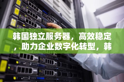 韩国独立服务器，高效稳定，助力企业数字化转型，韩国独立服务器价格表2023