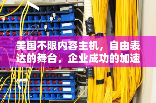 美国不限内容主机，自由表达的舞台，企业成功的加速器，美国主机不限内容空间