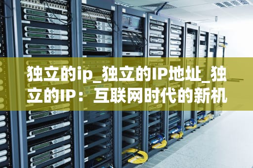 独立的ip_独立的IP地址_独立的IP：互联网时代的新机遇
