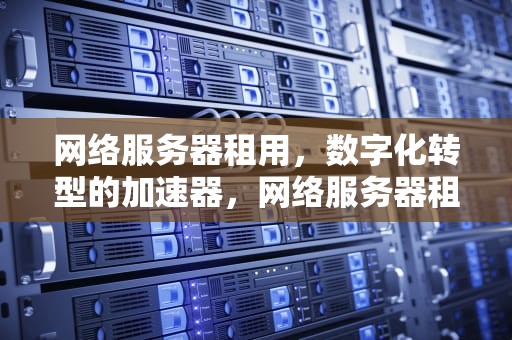 网络服务器租用，数字化转型的加速器，网络服务器租用多少钱一年