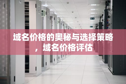 域名价格的奥秘与选择策略，域名价格评估