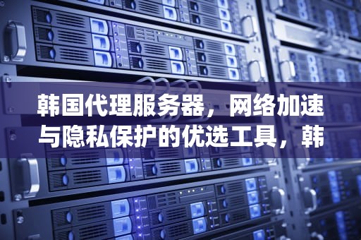 韩国代理服务器，网络加速与隐私保护的优选工具，韩国代理服务器ip去哪买