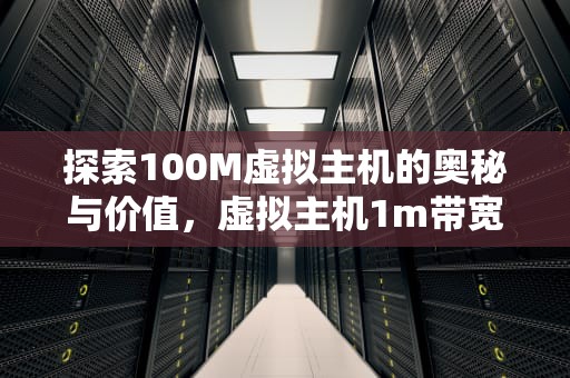 探索100M虚拟主机的奥秘与价值，虚拟主机1m带宽够用吗