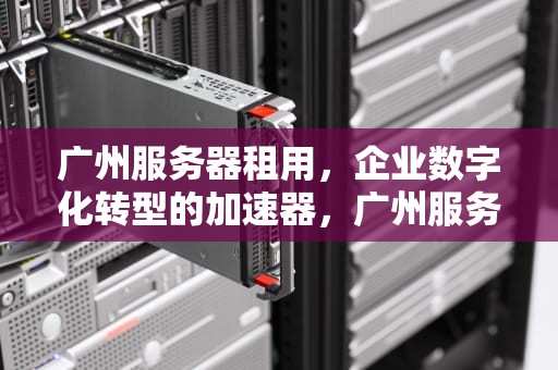 广州服务器租用，企业数字化转型的加速器，广州服务器租用泰海