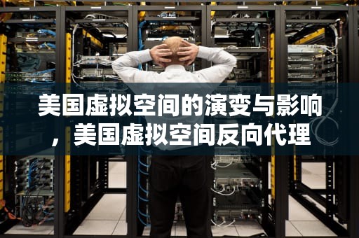 美国虚拟空间的演变与影响，美国虚拟空间反向代理