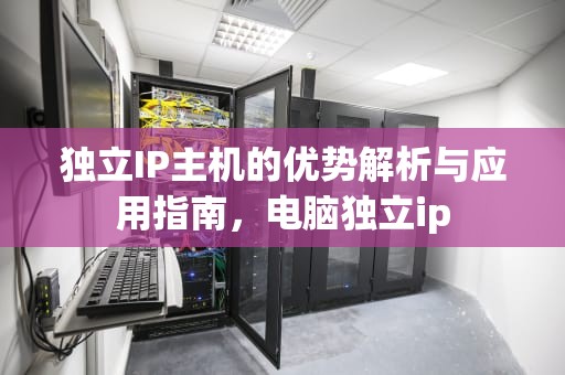 独立IP主机的优势解析与应用指南，电脑独立ip