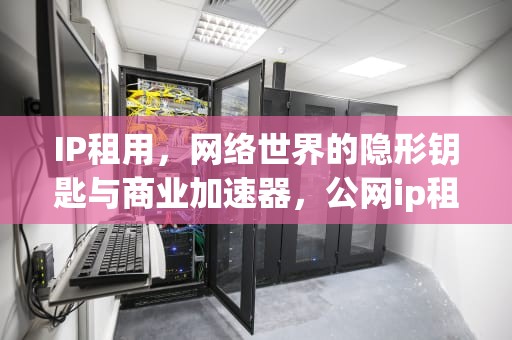 IP租用，网络世界的隐形钥匙与商业加速器，公网ip租用