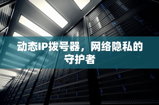 动态IP拨号器，网络隐私的守护者