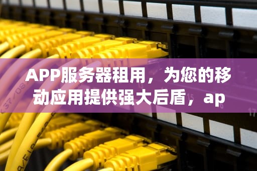 APP服务器租用，为您的移动应用提供强大后盾，app服务器租用多少钱一年
