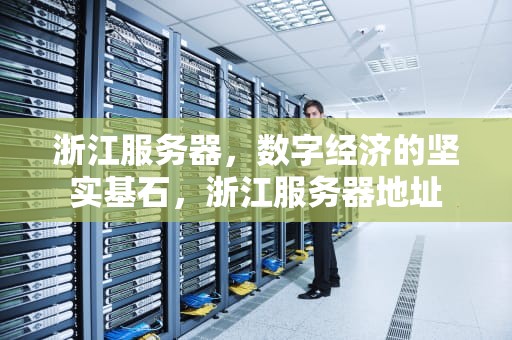 浙江服务器，数字经济的坚实基石，浙江服务器地址