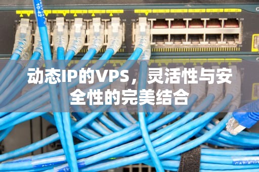 动态IP的VPS，灵活性与安全性的完美结合