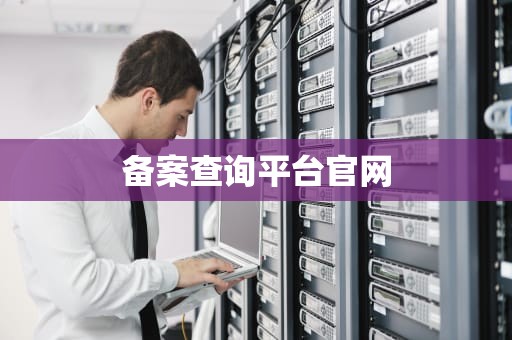 备案查询平台官网
