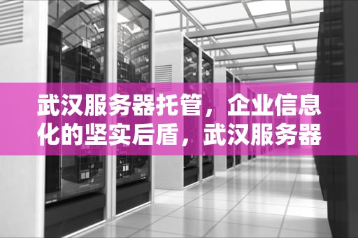 武汉服务器托管，企业信息化的坚实后盾，武汉服务器托管租用