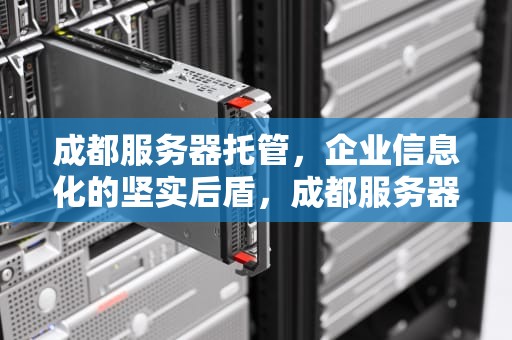 成都服务器托管，企业信息化的坚实后盾，成都服务器托管公司