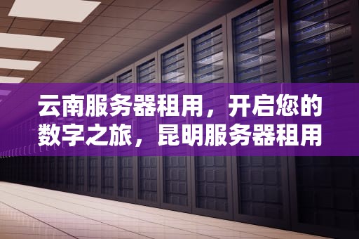 云南服务器租用，开启您的数字之旅，昆明服务器租用