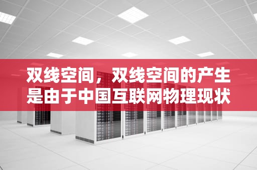双线空间，双线空间的产生是由于中国互联网物理现状造成的