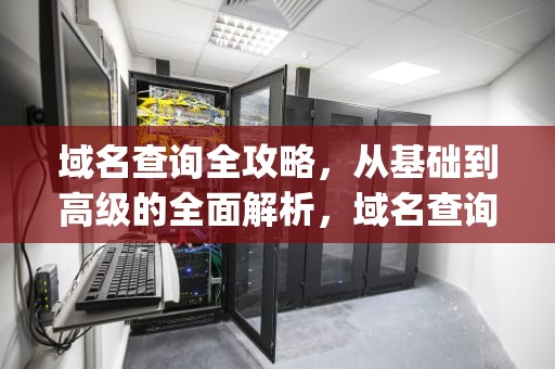 域名查询全攻略，从基础到高级的全面解析，域名查询ip