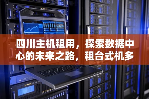 四川主机租用，探索数据中心的未来之路，租台式机多少钱一台成都