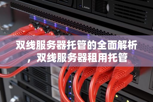 双线服务器托管的全面解析，双线服务器租用托管