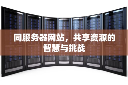 同服务器网站，共享资源的智慧与挑战