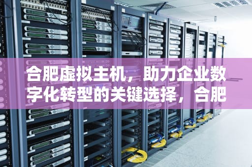 合肥虚拟主机，助力企业数字化转型的关键选择，合肥虚拟主机生产厂家