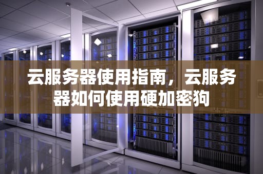 云服务器使用指南，云服务器如何使用硬加密狗