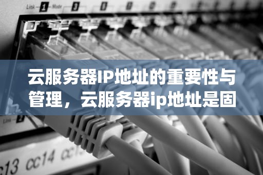 云服务器IP地址的重要性与管理，云服务器ip地址是固定的吗