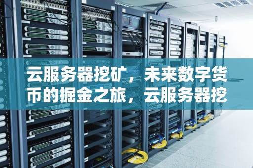 云服务器挖矿，未来数字货币的掘金之旅，云服务器挖矿被抓
